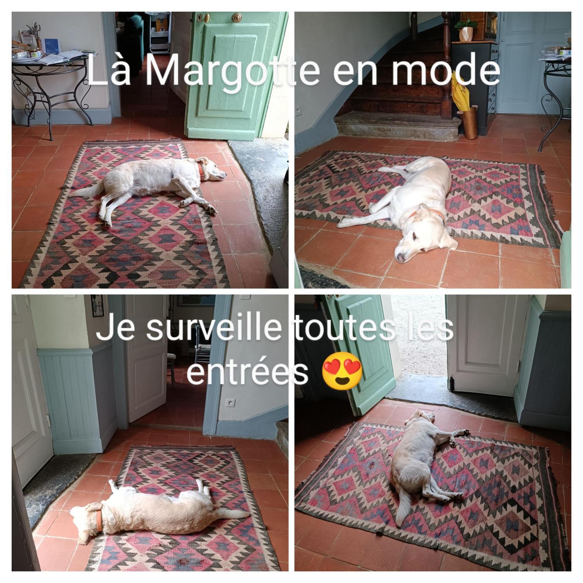 Baladous Bed & Breakfast Montgaillard-de-Salies Exterior foto